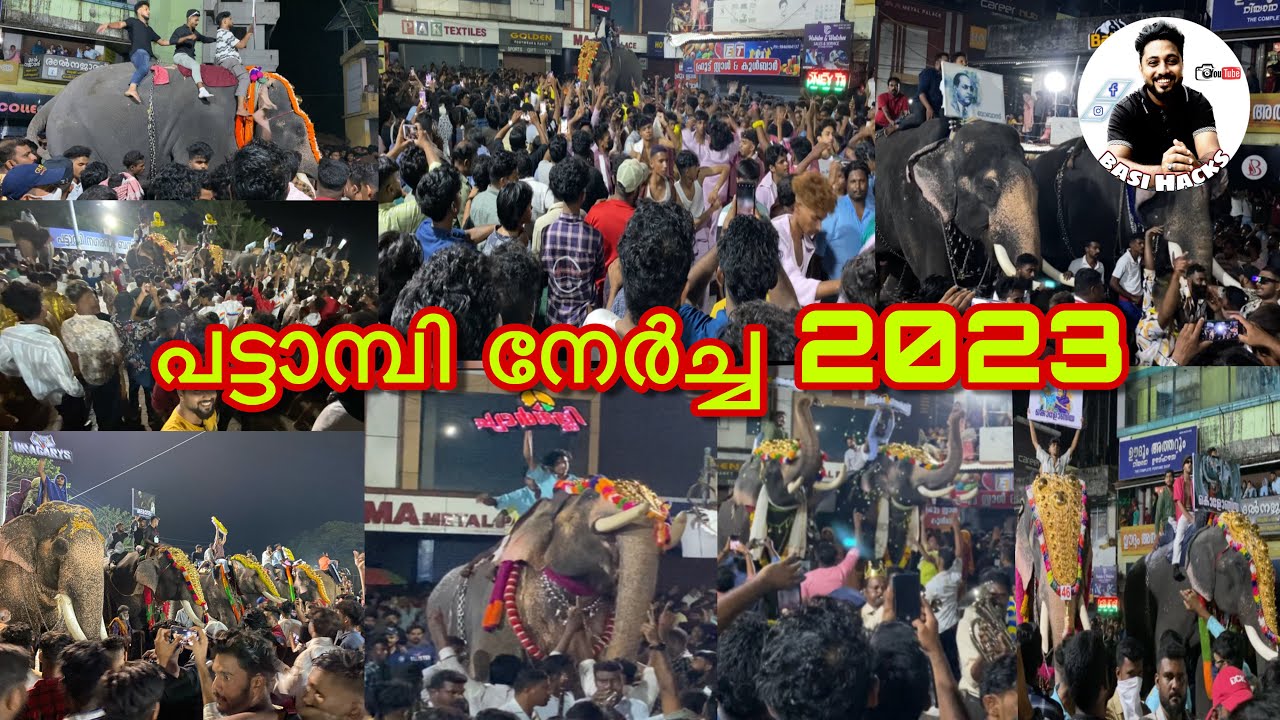 പട്ടാമ്പി നേര്‍ച്ച 2023 |Pattambi nercha 2023 | above 100 elephants | #pattambinercha #basihacks