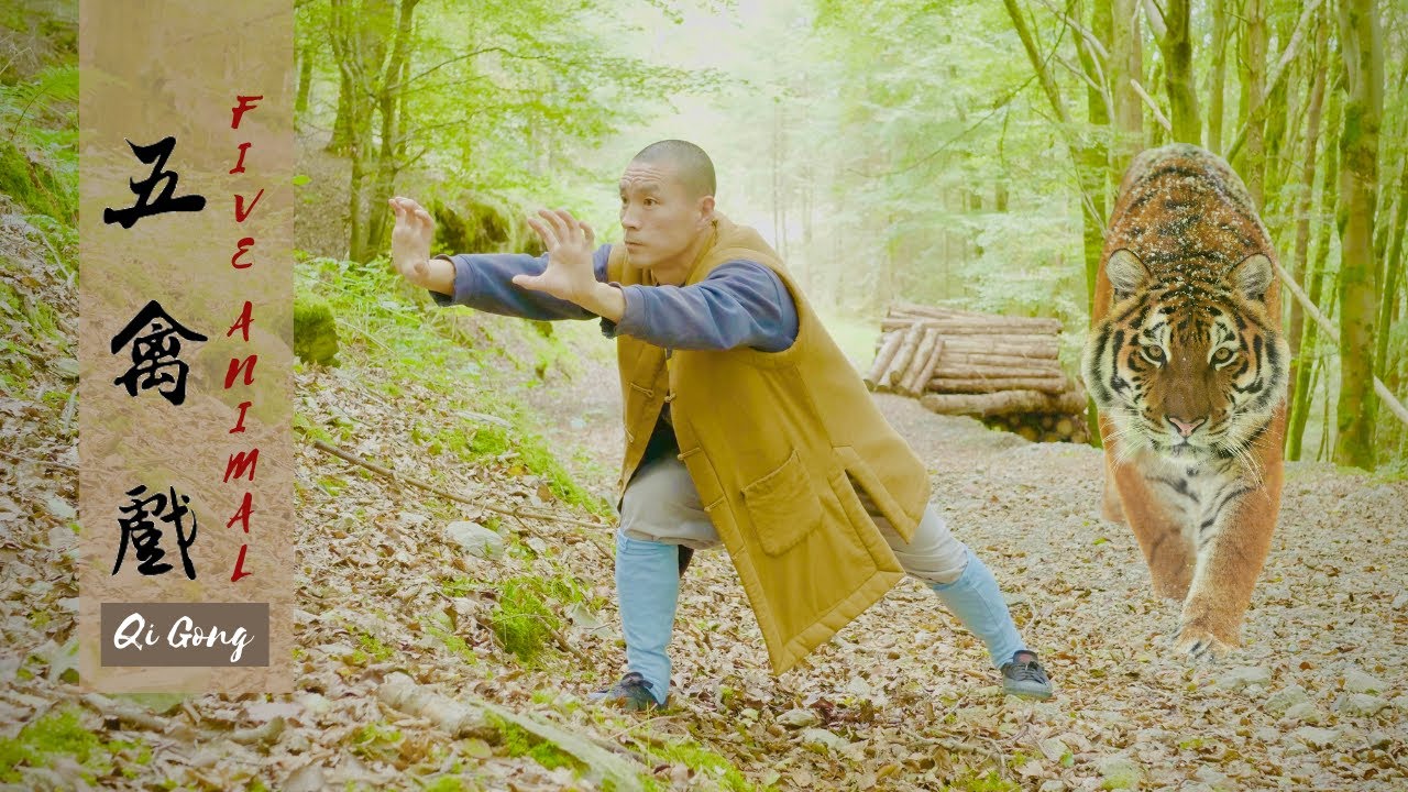 6-Min Shaolin Five Animal Qi Gong (Wu Qin Xi) | Nourish Organs, Boost Qi, Transform Emotions