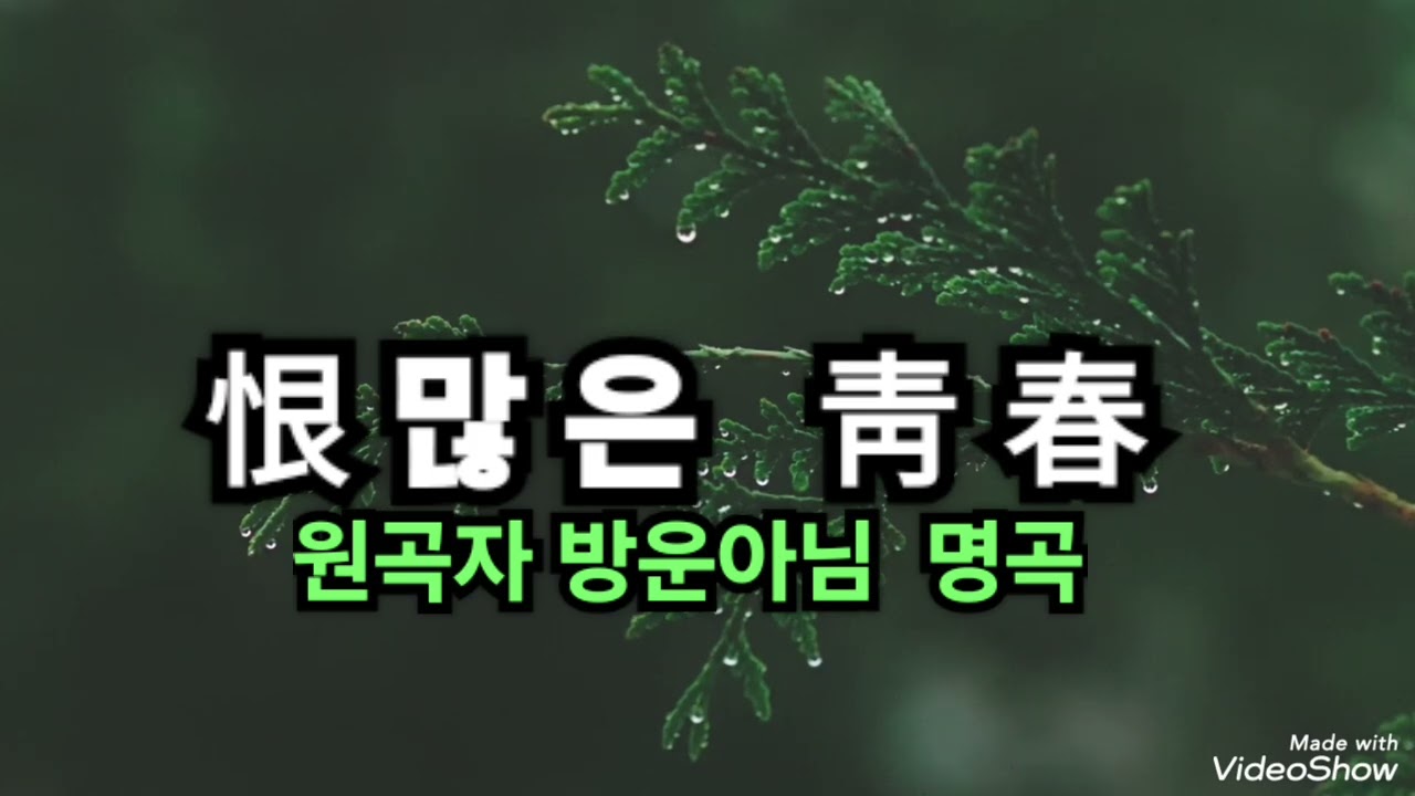 #恨많은 靑春 / 병혜야 병혜아  ㅡ