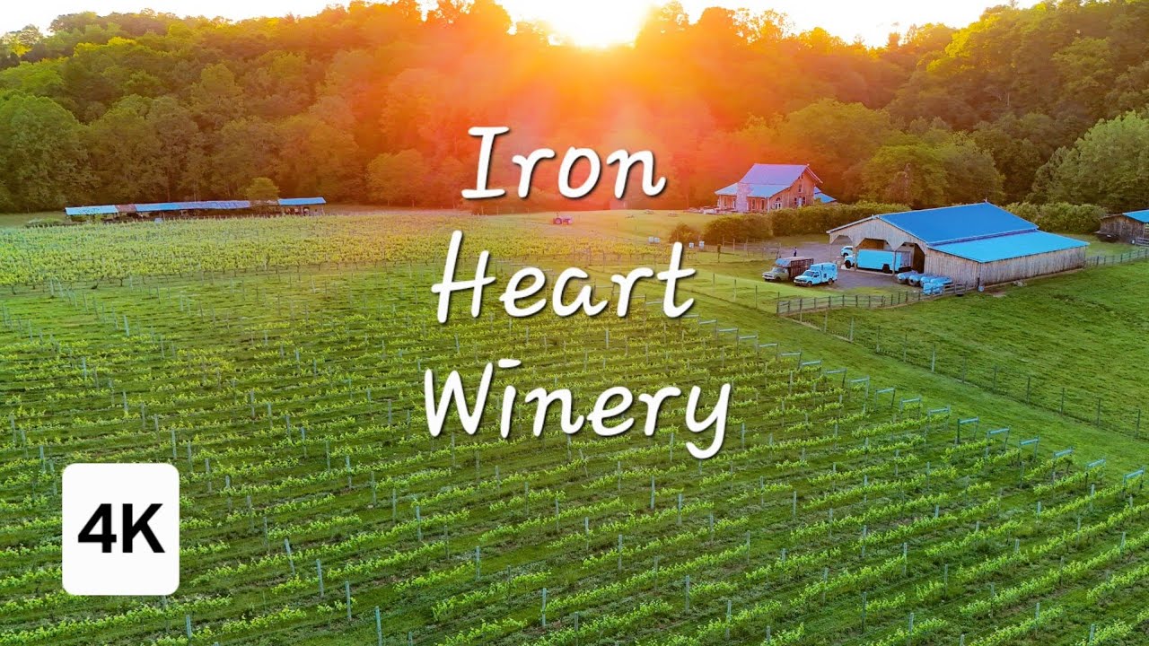 Aerial Views of Iron Heart Winery and Vineyard (Fariss Farms), Allisonia, VA (Pulaski County) | 4K
