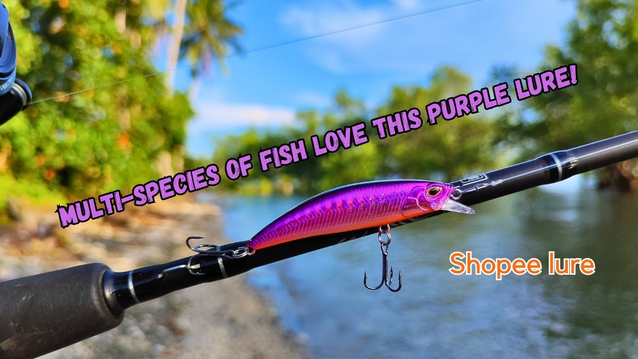One Lure Challenge | Alamin Kung sa Anong Isda Effective ang Lure Na Ito | Shopee Lure Field Test