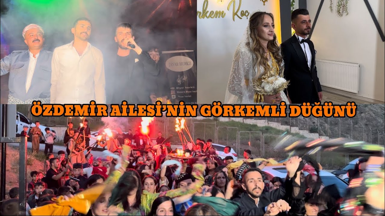 Hakkari Düğünleri - Bılecani Aşireti ( Özdemir Ailesi ) 2024 Diyar Herki