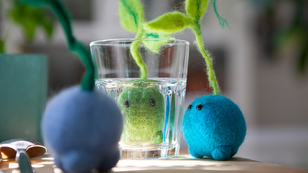 Knutseltip Vilten kiempje