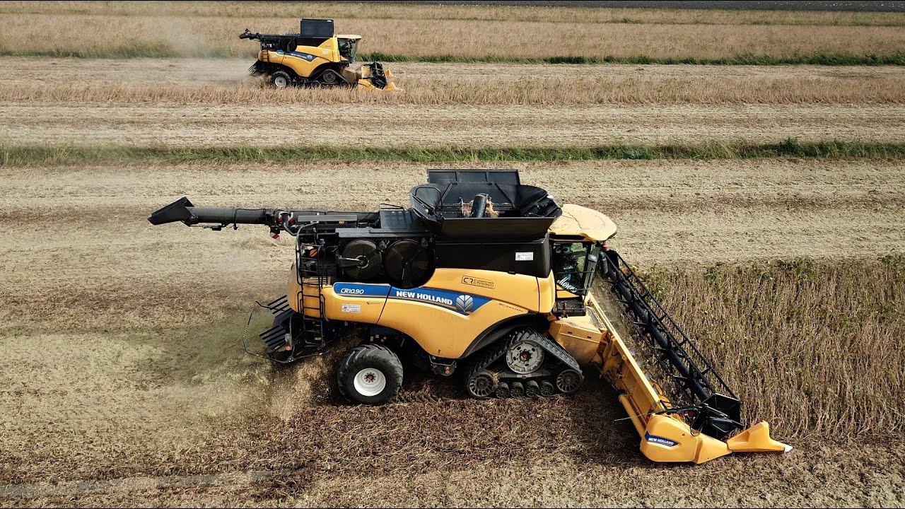 Big Soybean Harvest | 3 x New Holland CR 8.80 & 10.90