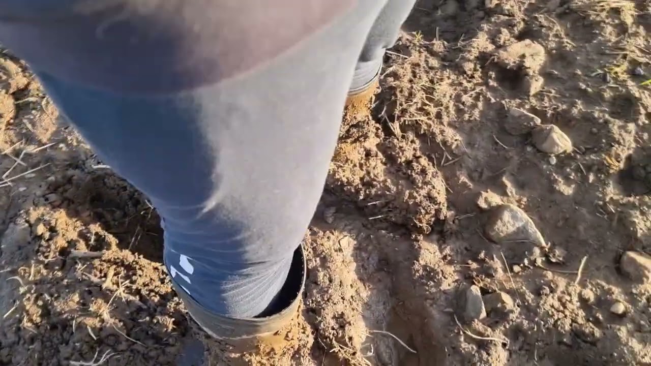 Solognacs in deep mud