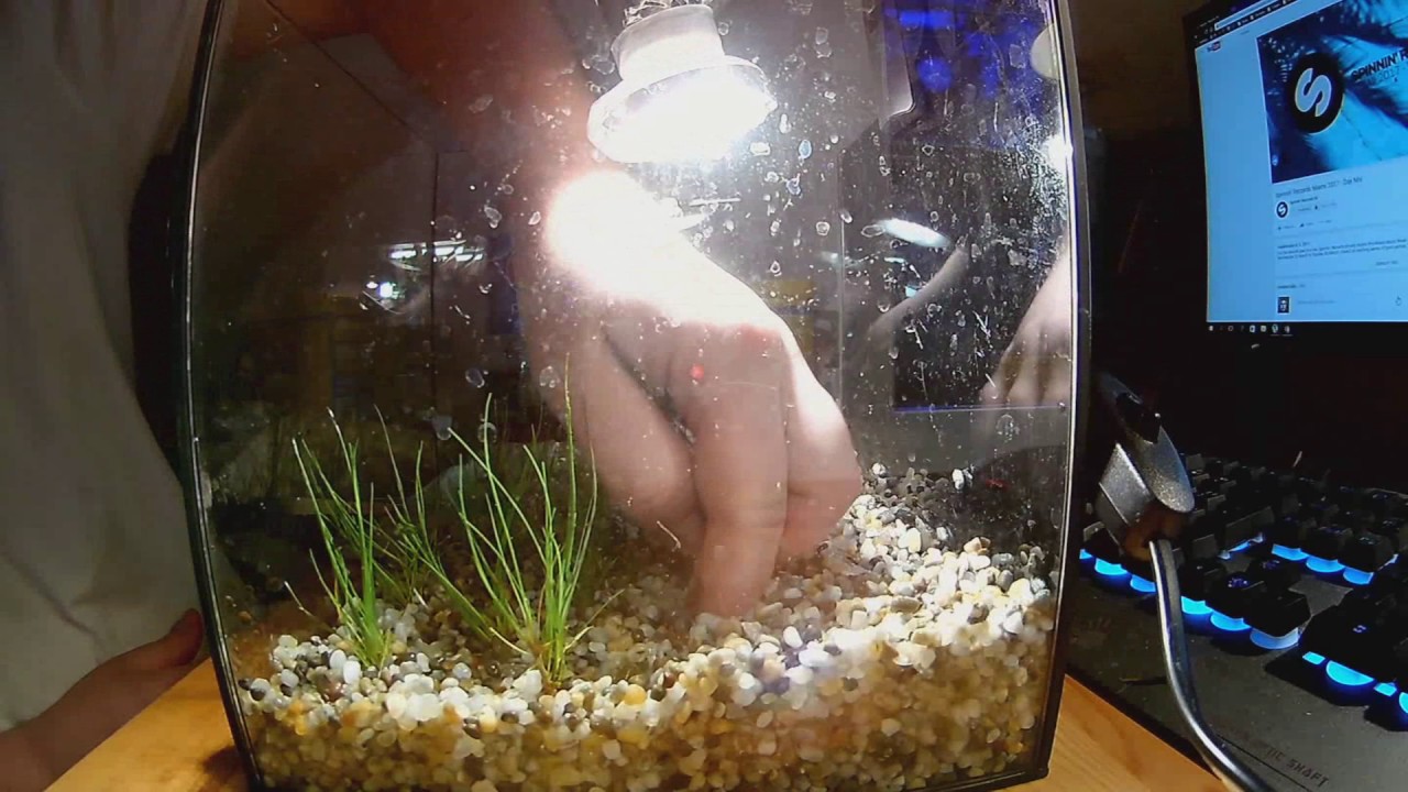 Akvárium 10L tvorba ( Start AQUARIUM 10L )