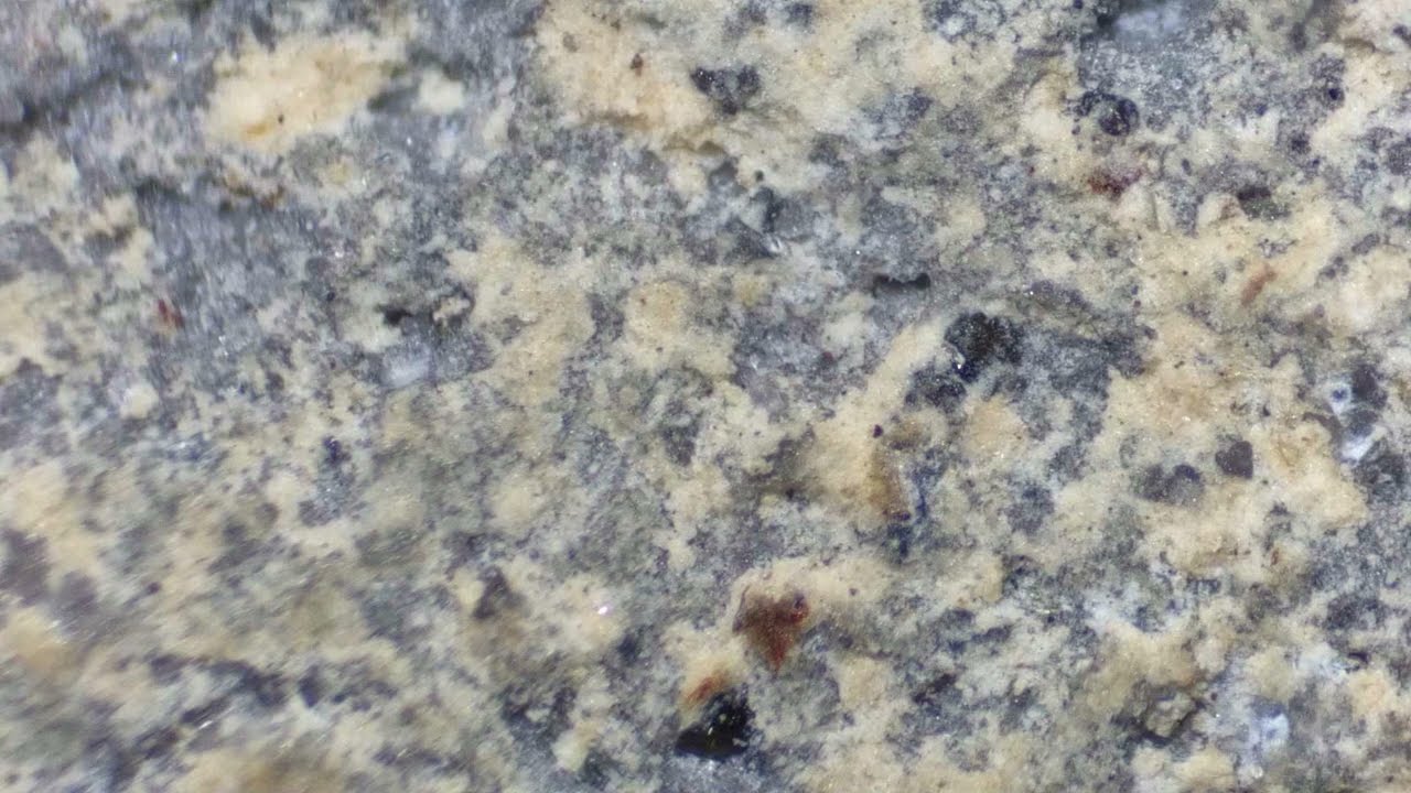 Kiryuzuna - Grano 2. 45x. Seco.