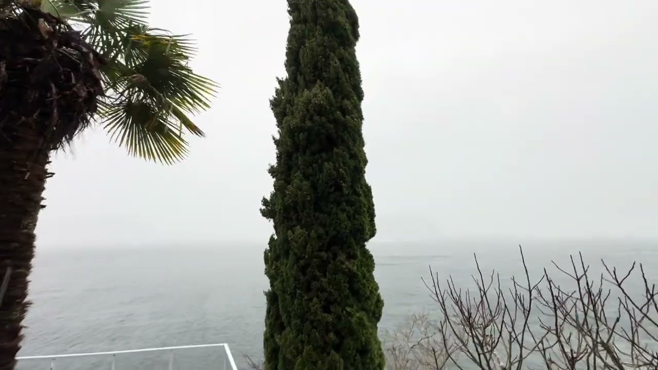 Your Daily Coffee with Vahid & Incredible Nature ☕️🌿 | Ocean Views 🌊🦅Cheers & enjoy the moment 😊☕️