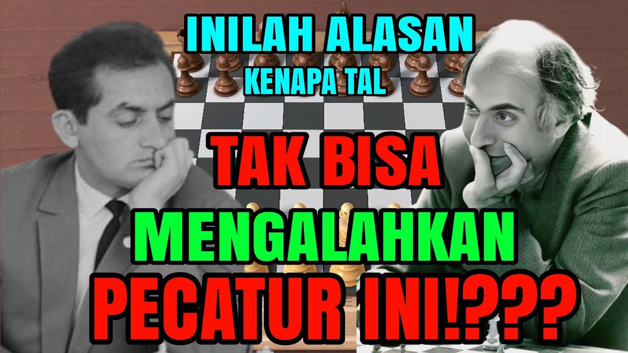 INILAH PECATUR YANG TAK. PERNAH BISA DIKALAHKAN TAL! Stein vs tal 1966