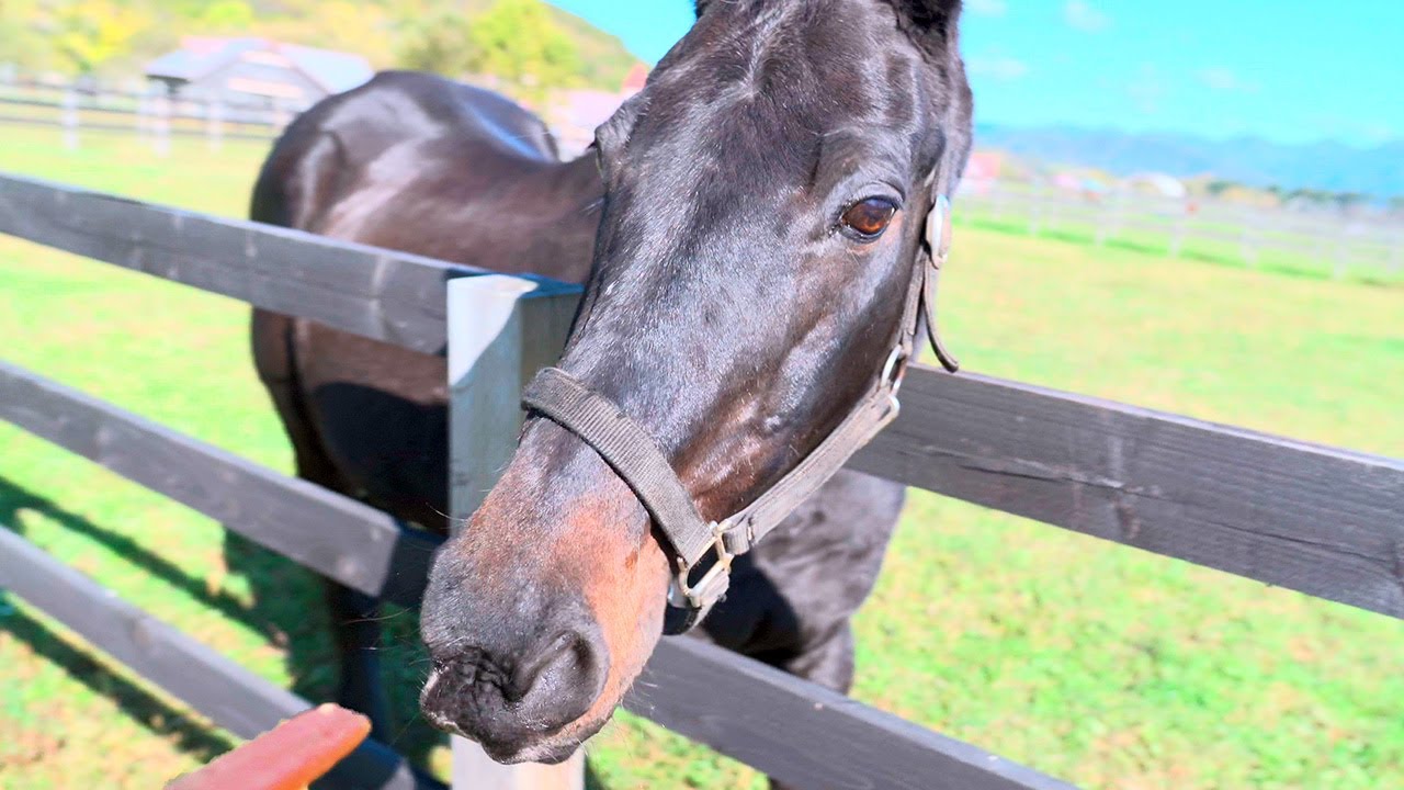 人参どうぞ！ →  チケゾー「・・・」