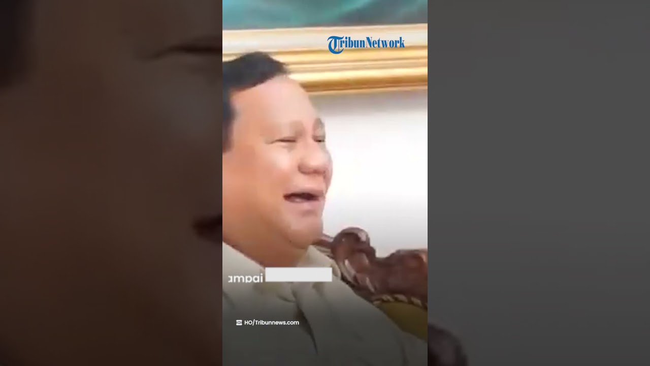 PAKAI ISU HAM, Gerindra Minta Publik Tak Serang Prabowo Jelang Pilpres