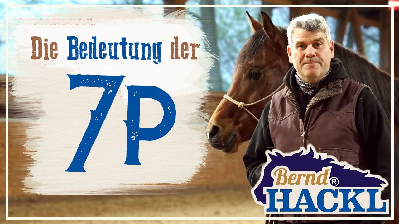 Die 7 P | Bernd Hackl erkl&auml;rt! 🐴