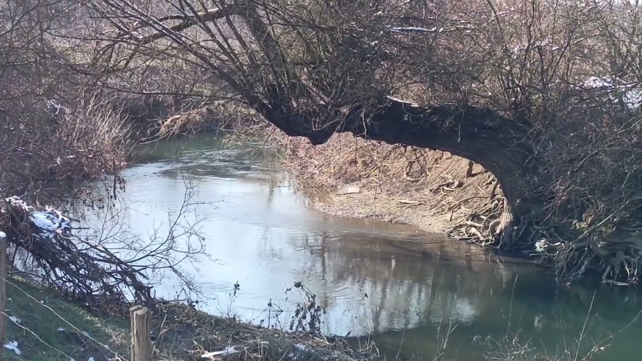 RIZNICA ŽIVINICA 2025/4 - SPREČA