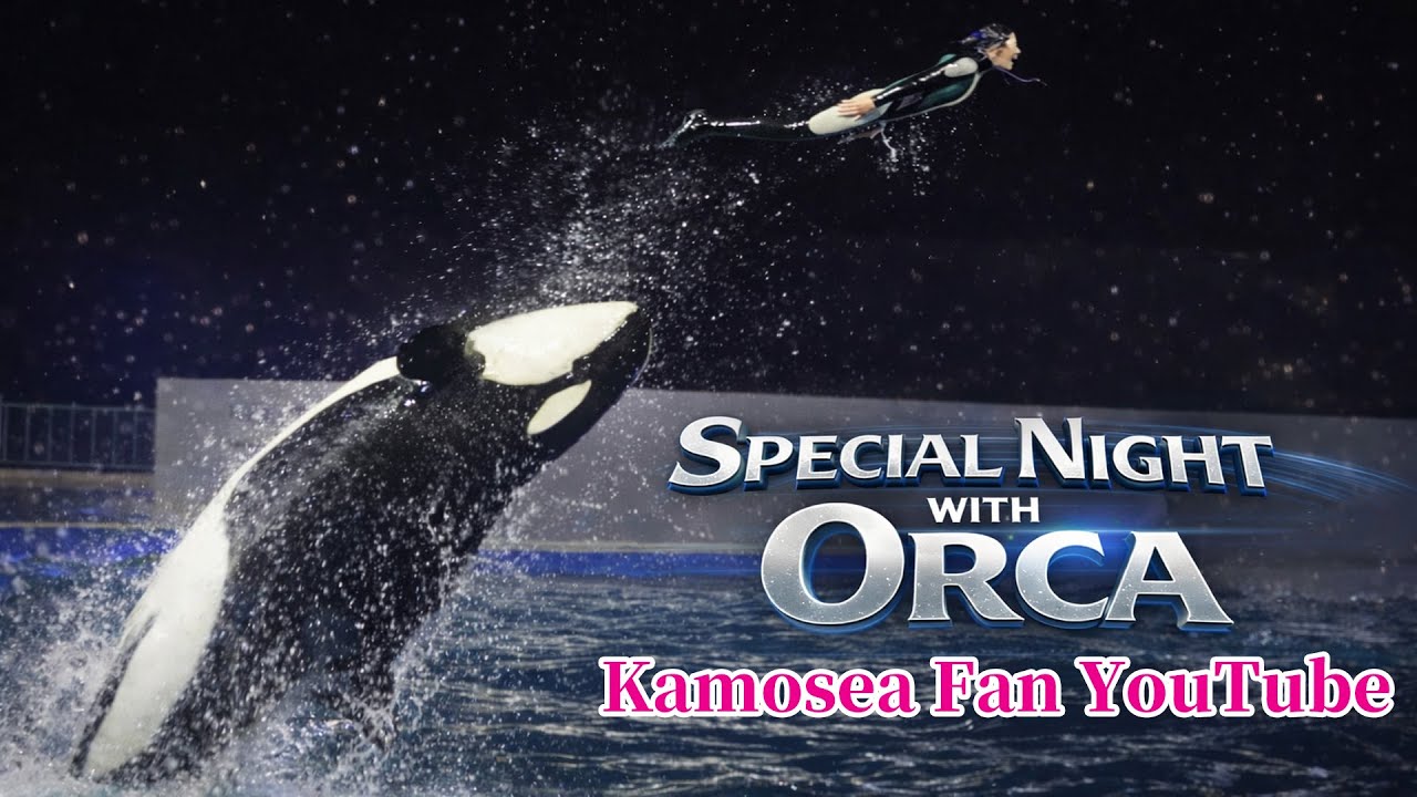 Xmasシャチスペシャルパフォーマンス2025.12.24「Special Night with Orca」 鴨川シーワールド シャチショー KamogawaSeaWorld Killer whale