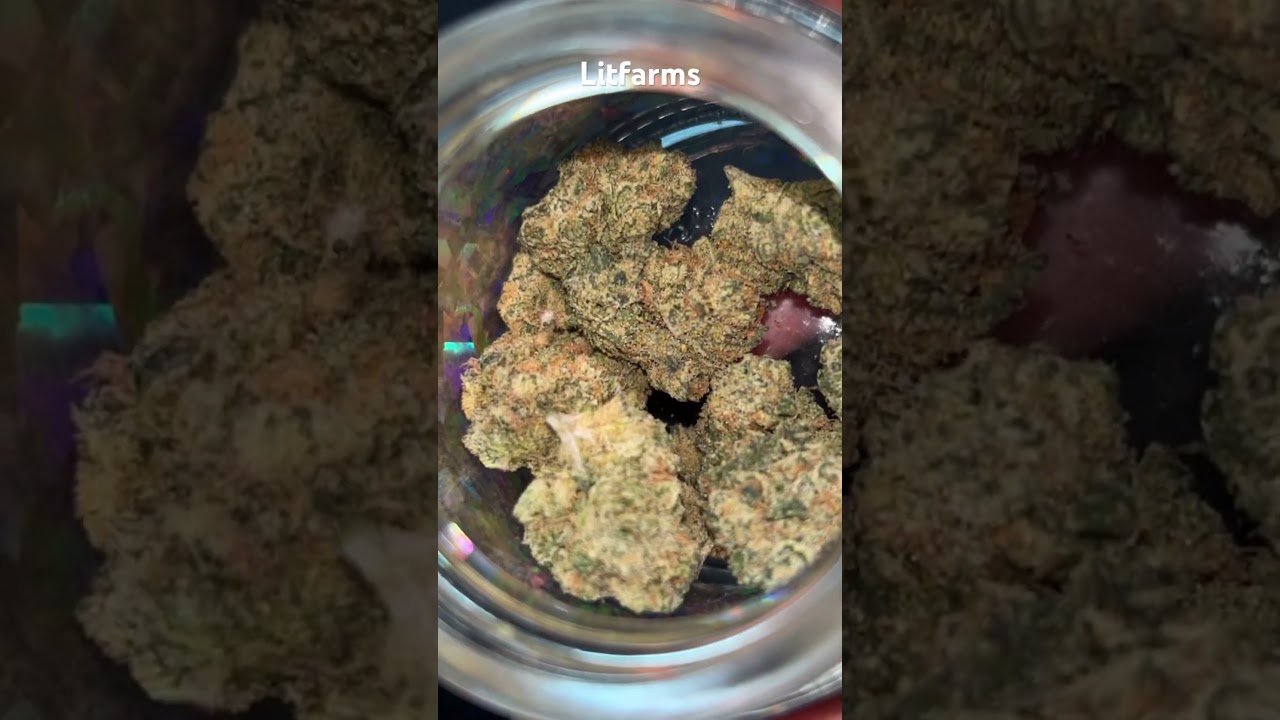 Litfarms.com Obama runtz thca flower #50statelegal #thcareview