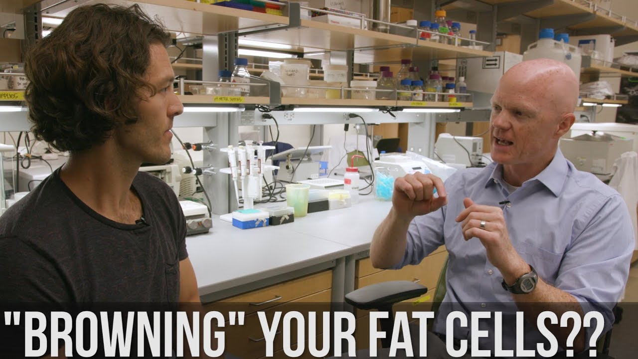 Insulin, Brown Fat & Ketones w/ Benjamin Bikman, PhD