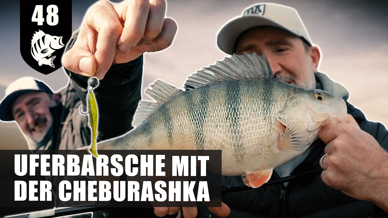 VOLL AM BARSCH - die CHEBU regelt mal wieder