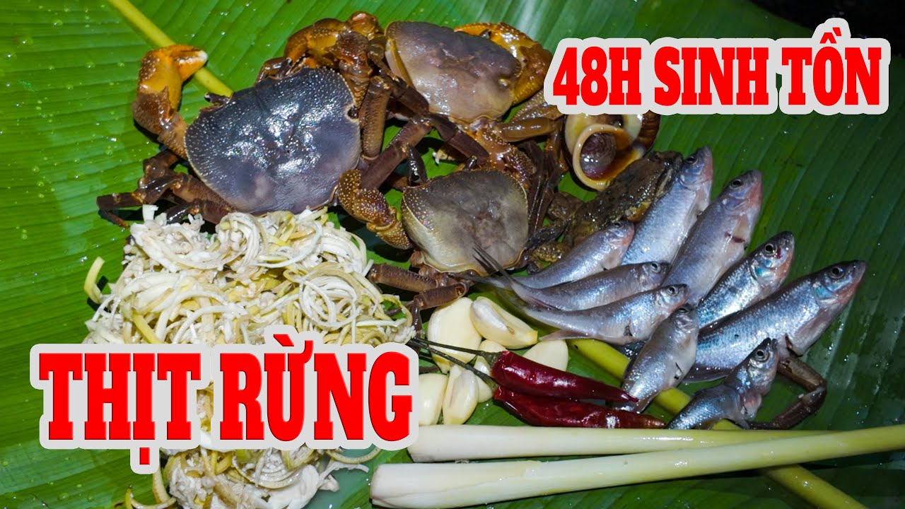 Sinh Tồn 48h Trong Rừng Ngày Đầu Tiên Bắt Toàn Hàng Khủng  ✧ Suối Bản Tv