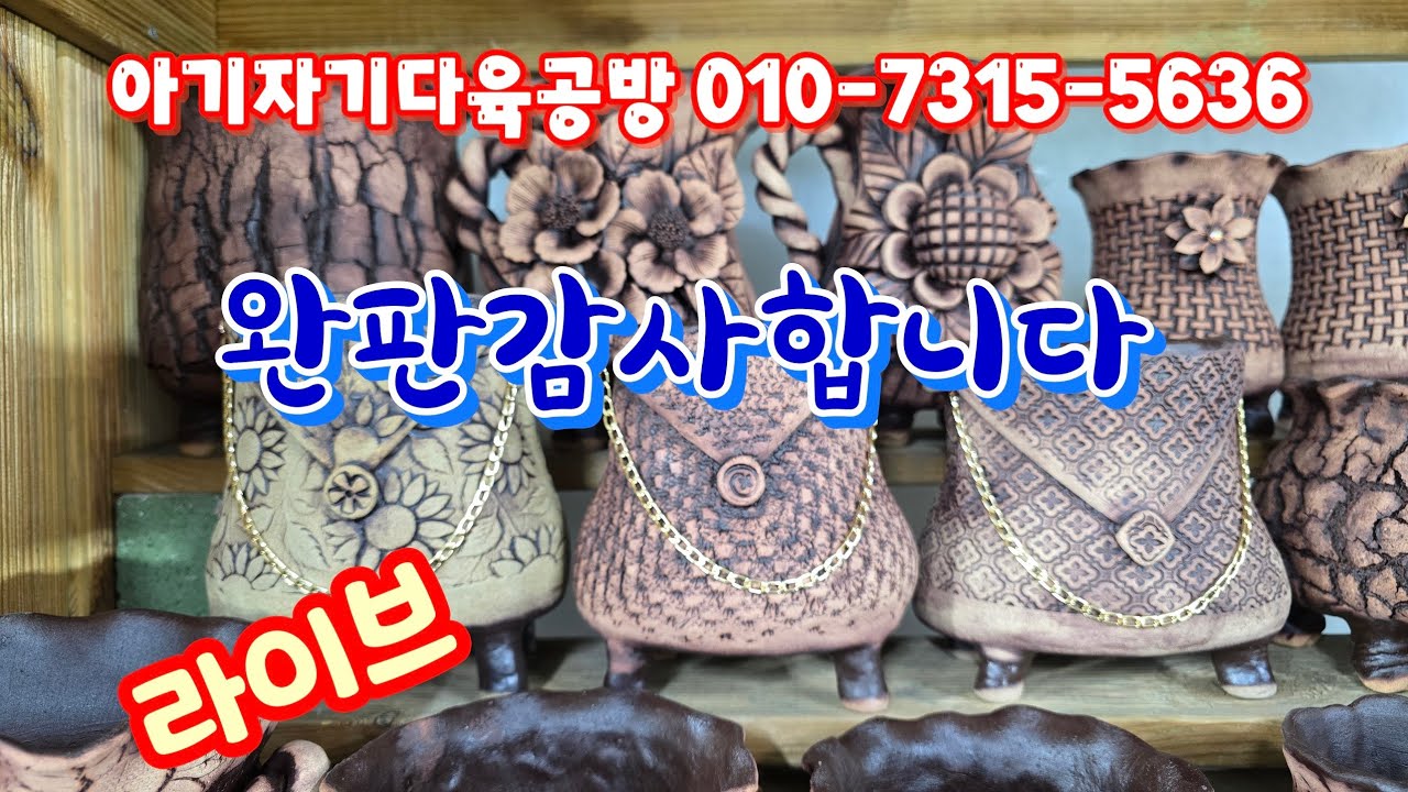 💥[2월 23일 라이브] 아기자기다육공방 010-7315-5636(카드가능) 멋진 가방화분~♡