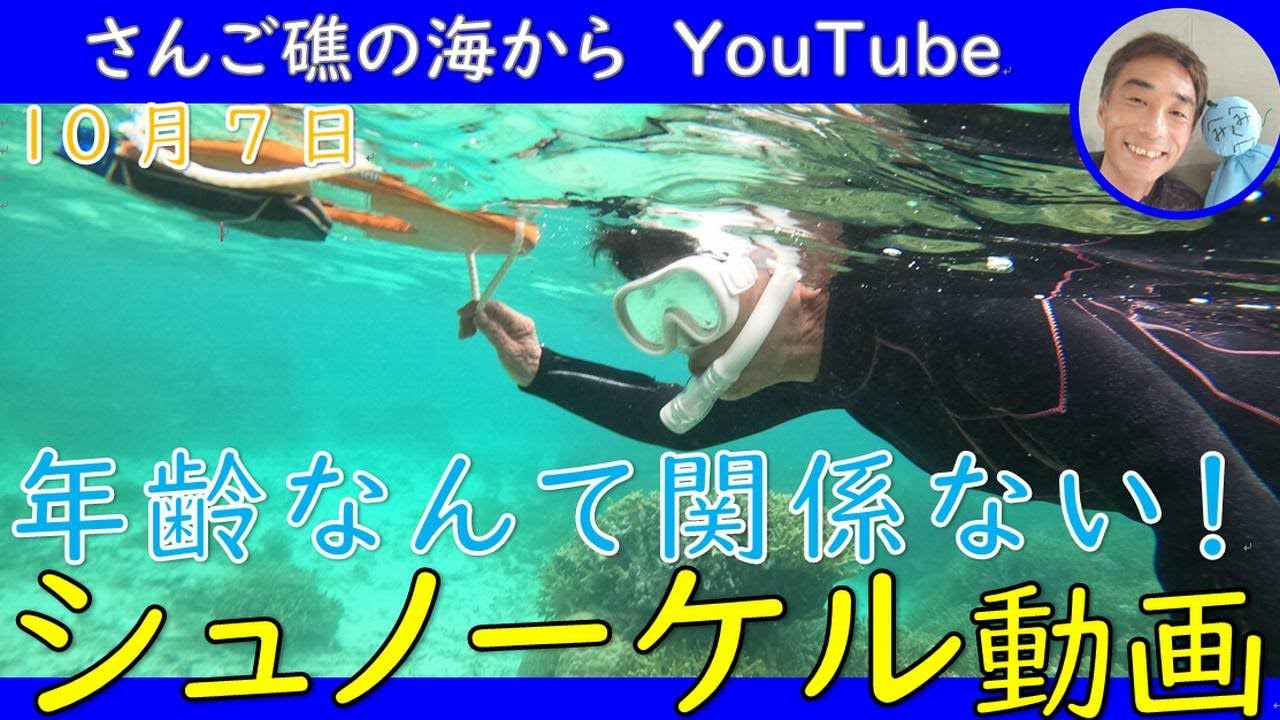 【石垣島でシュノーケリング】10月7日ツアーの動画　75歳！年齢なんて関係ない！海を楽しむその気持ちが大切♪