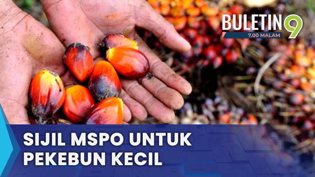 Usaha Bantu Pekebun Kecil Capai Pensijilan MSPO