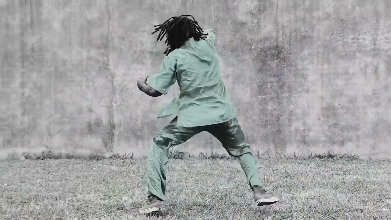 #shaolin gongfu Quan by Shifu Maxwell #kungfutraining #learnkungfu