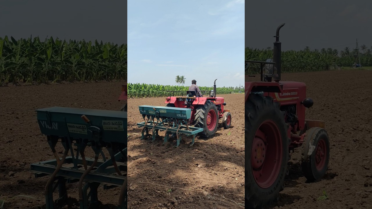 Blackgram Sowing - Mahindra Tractor - 09/09/2025 