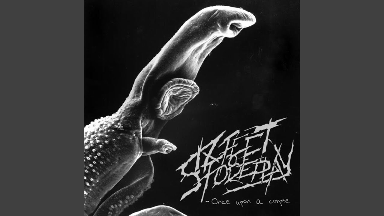 Infectious Cadavers
