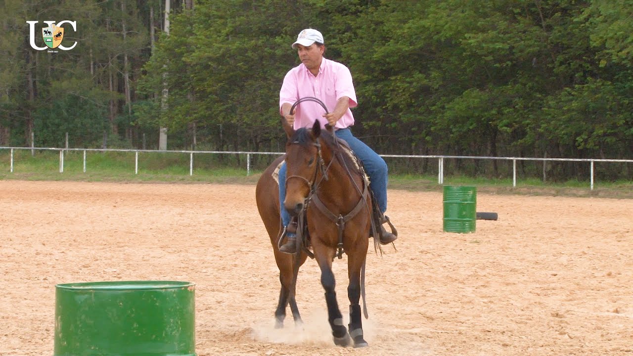TV UC - Exercício para cavalo começando no tambor