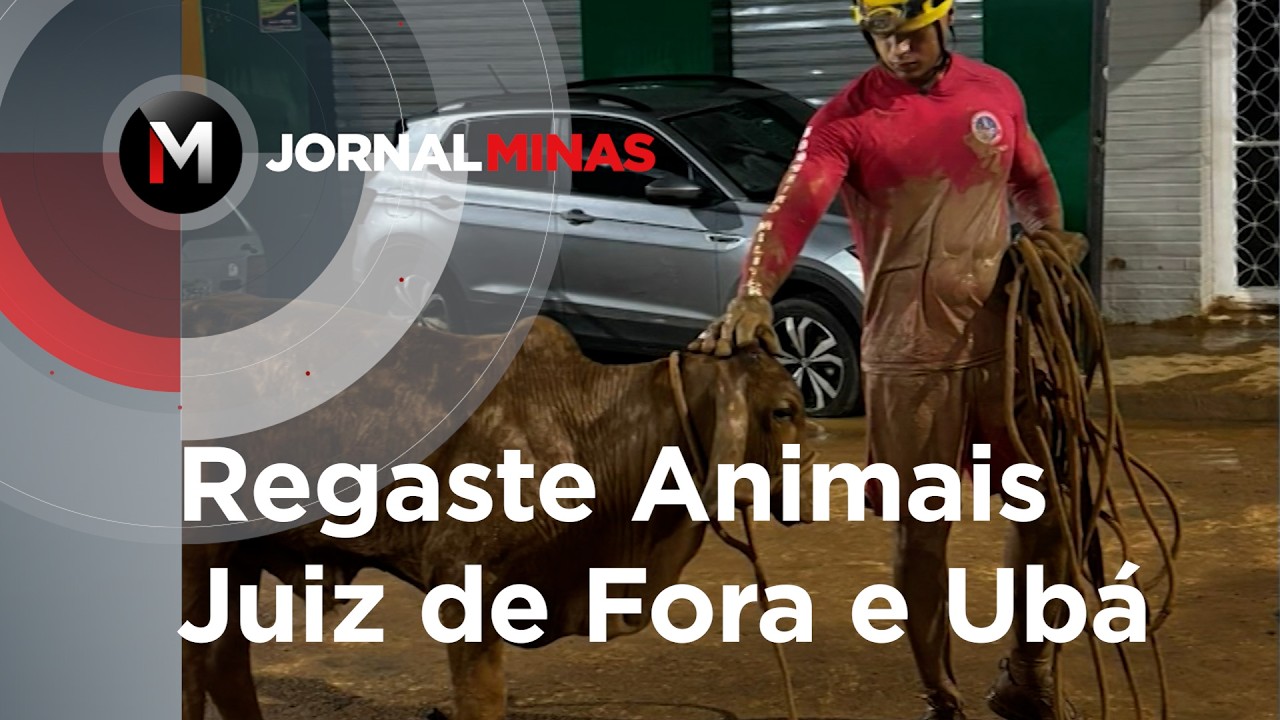 Resgate Animais em Juiz de Fora e Ubá - Jornal Minas