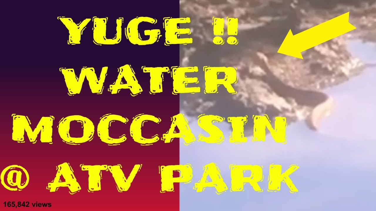 Brushy Creek MX Brushy Creek Motor Farm Caddo Mills Royce City #dirtbike #dirt #dirtbikes #motocycle