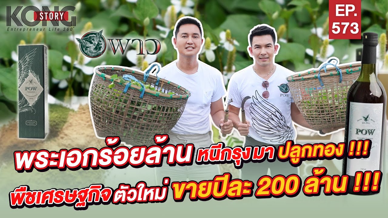 พระเอกร้อยล้าน “หนีกรุงมาปลูกทอง” พลูคาวตองพืชเศรษฐกิจตัวใหม่ ขายดีปีละ 200 ล้าน | Kong Story EP.573