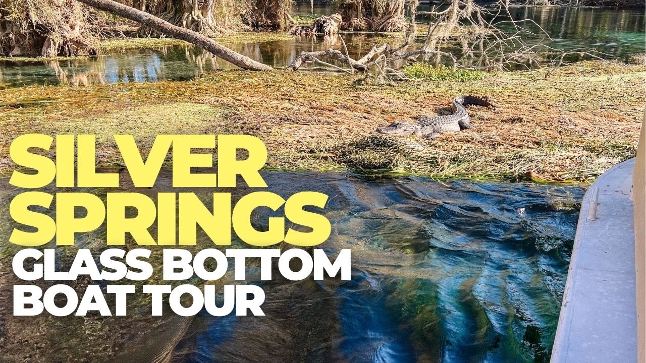Silver Springs Glass Bottom Boat Tour Review (30 vs 90 Minutes – Worth It?)