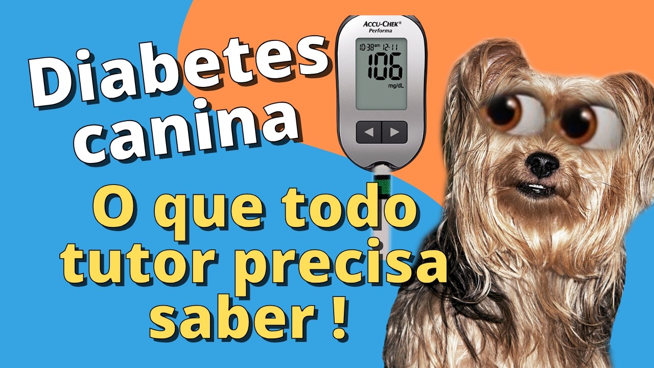 Sintomas e Tratamento da Diabetes Canina Explicados