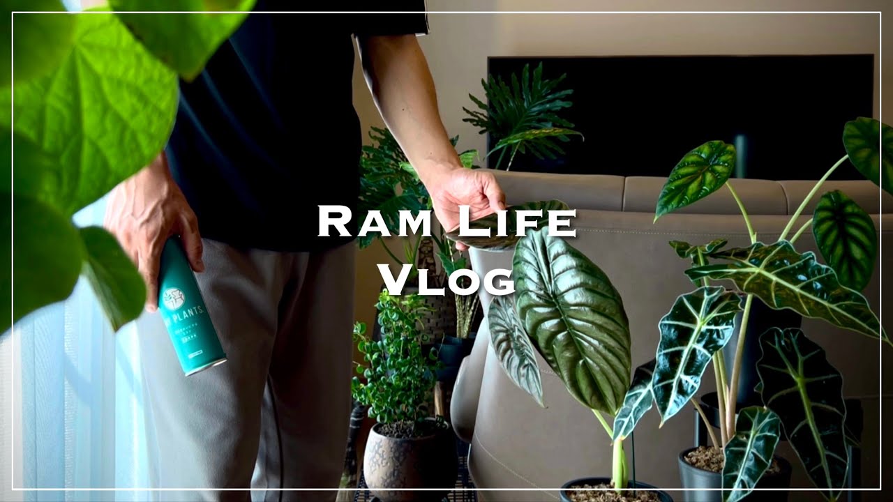 植物のある暮らし/植物のお手入れをして過ごす癒しの時間/おうちカフェ