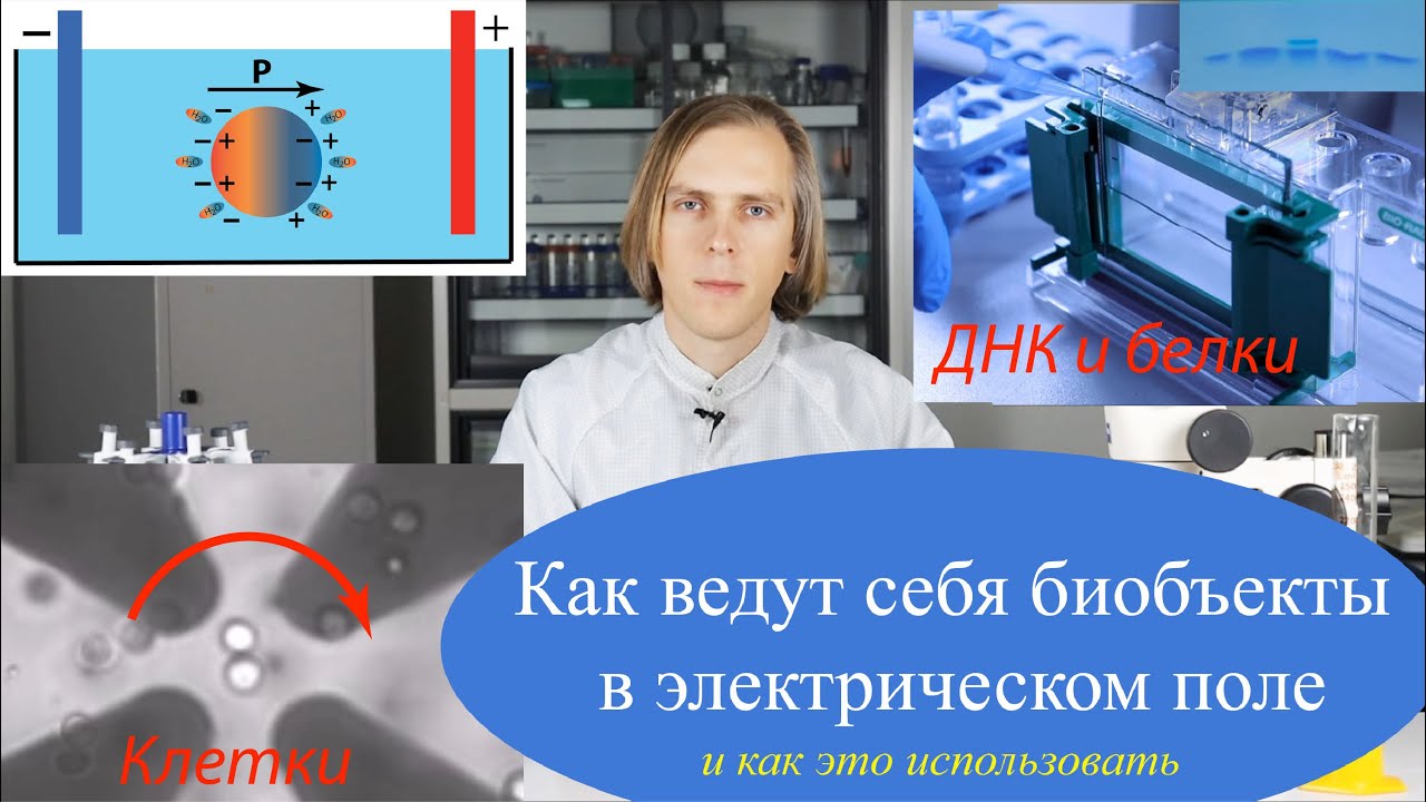 Электрокинетические эффекты в микроустройствах