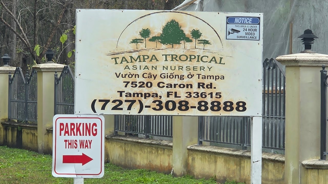 Питомник тропической азиатской кухни в Тампе