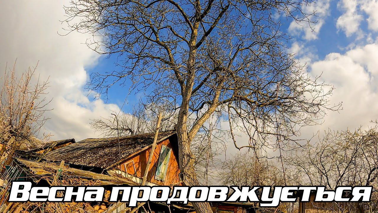 Незручний горіх