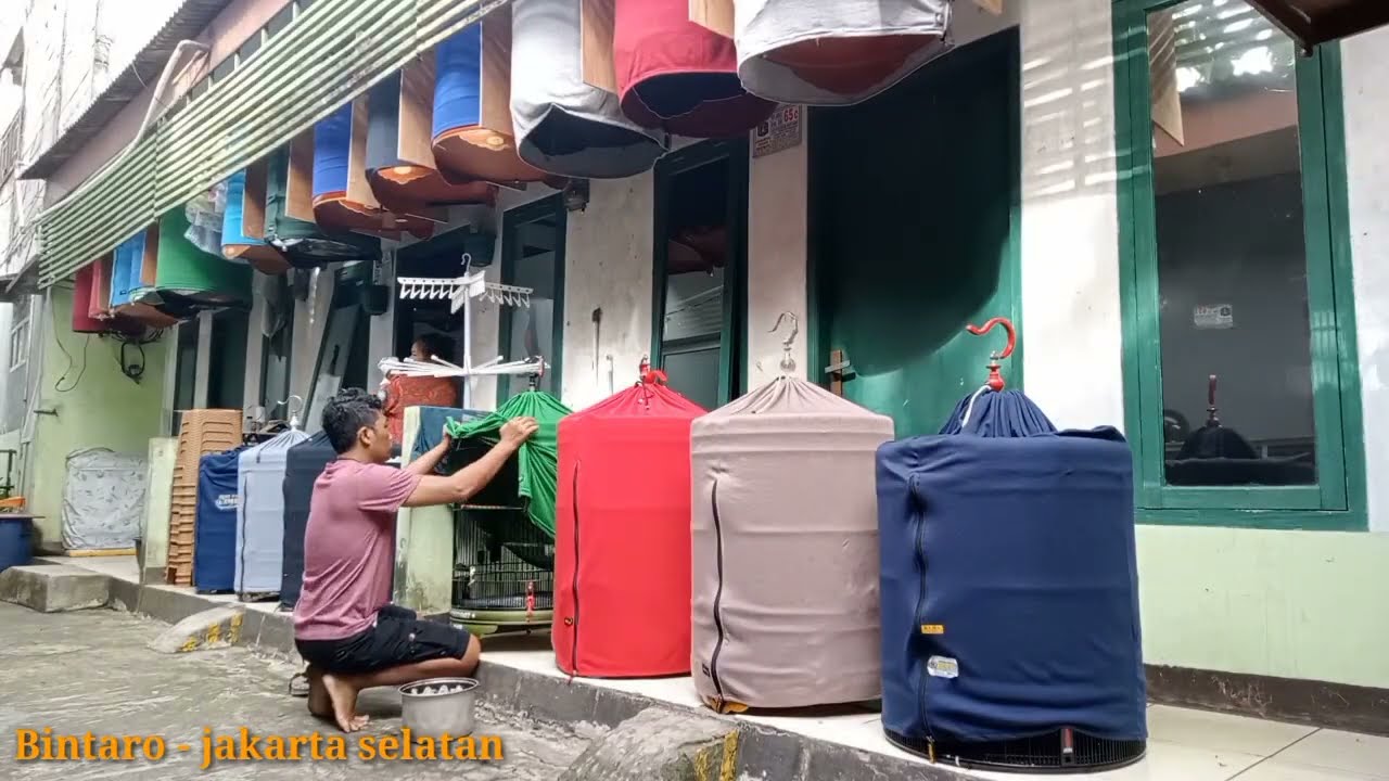 sekolah murai batu - Bintaro Jakarta selatan