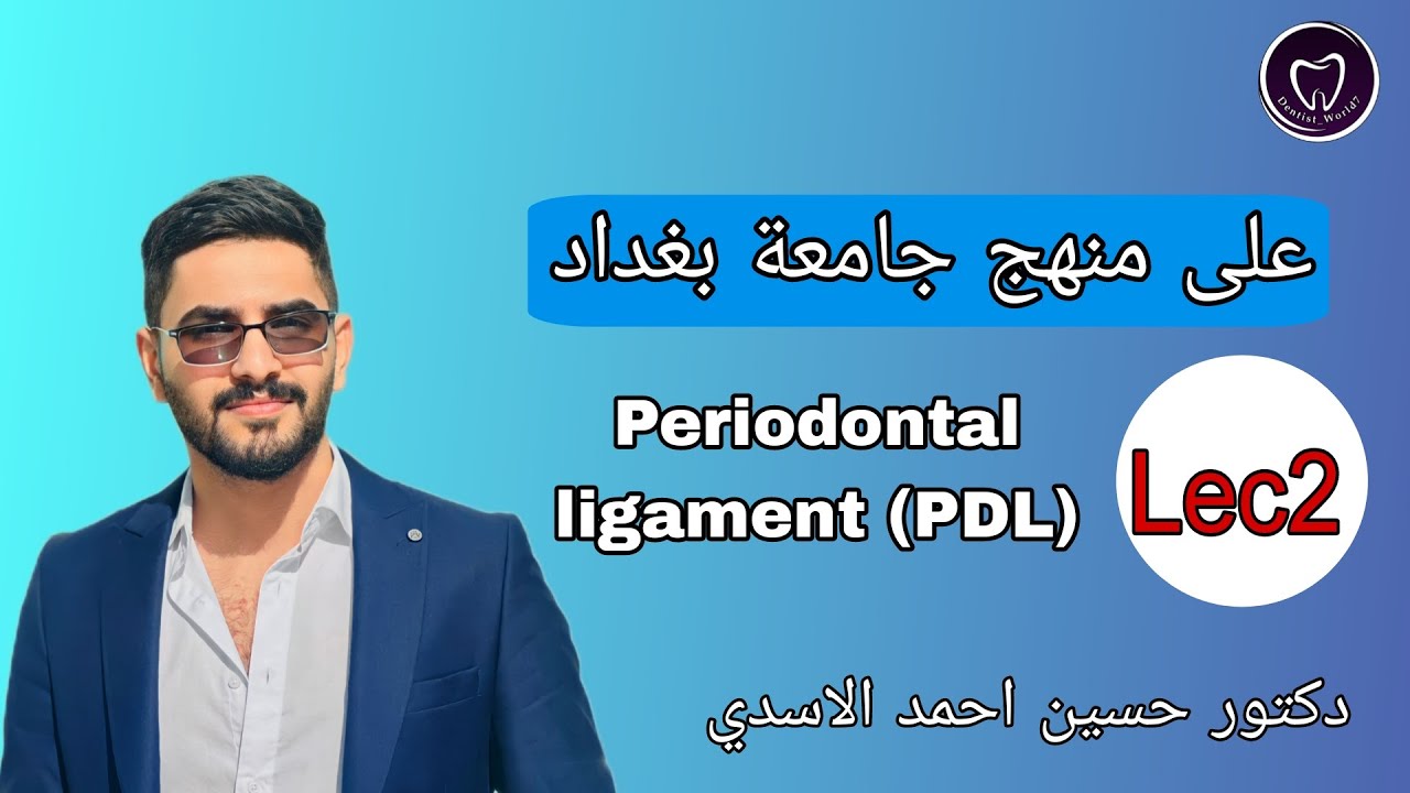 بريو المحاضرة الثانية مرحلة رابعة Periodontal ligament PDL