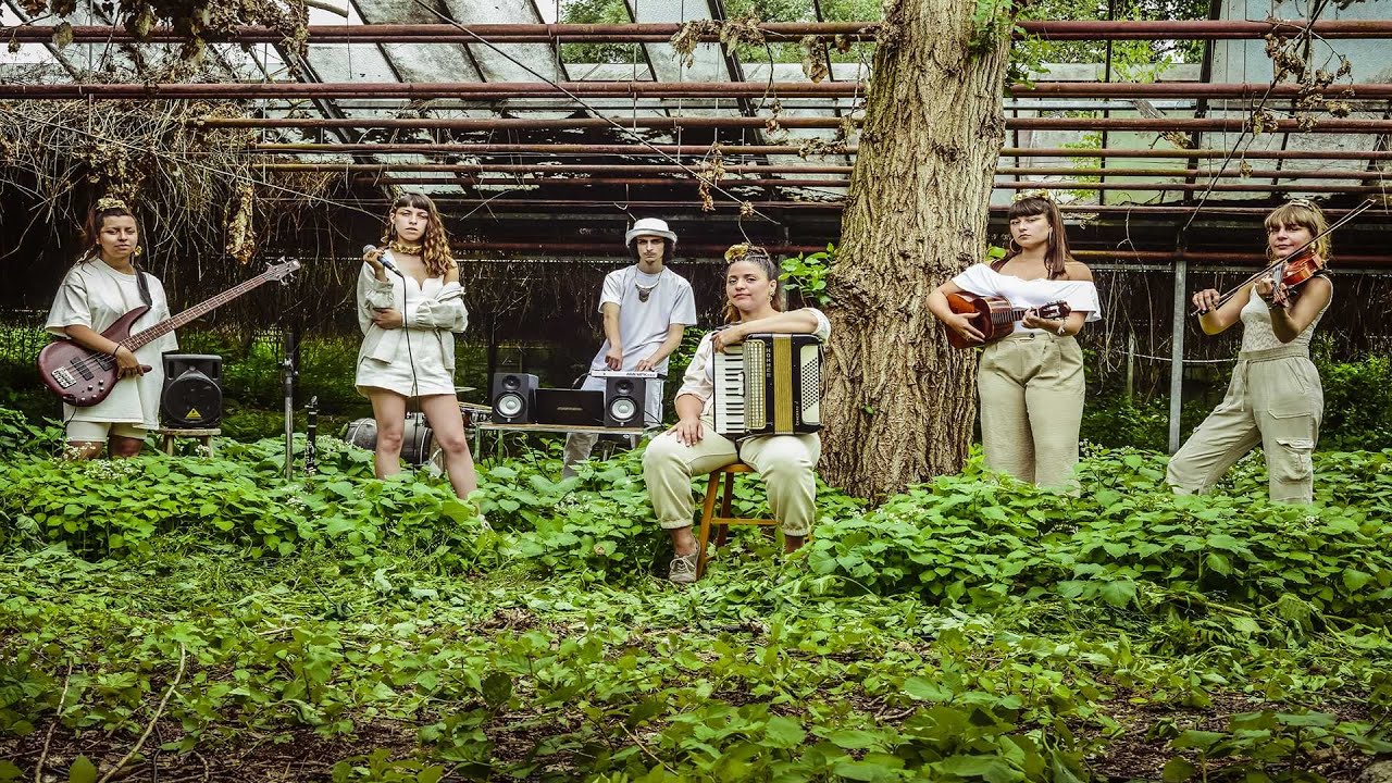 Las Baklavas - Un concert sous la serre | LIVE SESSION