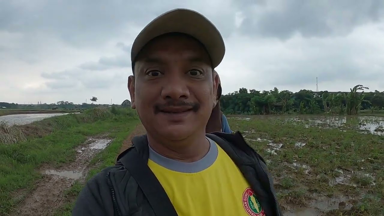 Part 2   jalan jalan ke Abah Miong disawah cikampek Karawang Jawa Barat