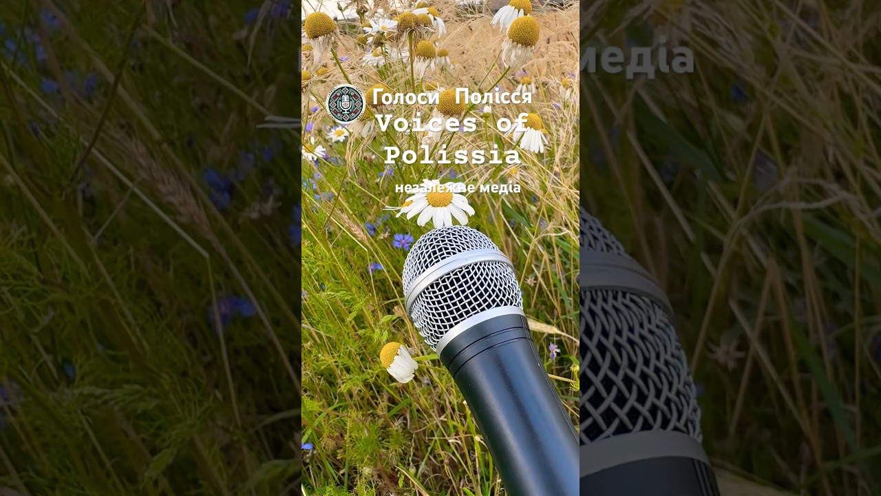 Голоси Полісся вмикають звук та камеру. The voices of Polissia turn on the microphone and camera.