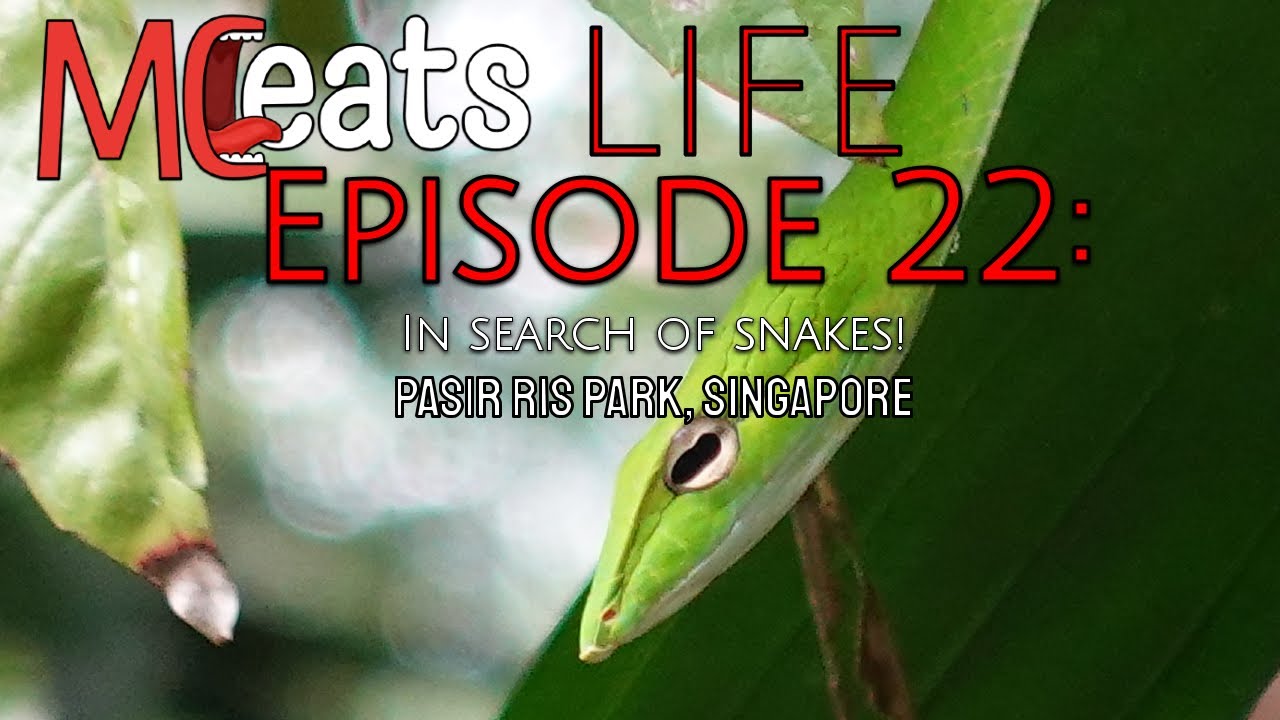 Pasir Ris Park | S01E22 | MC Eats Life