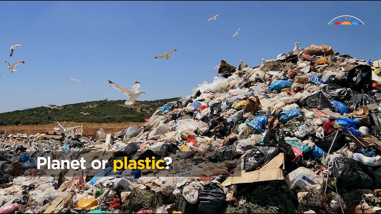 Plastic Bag Ban