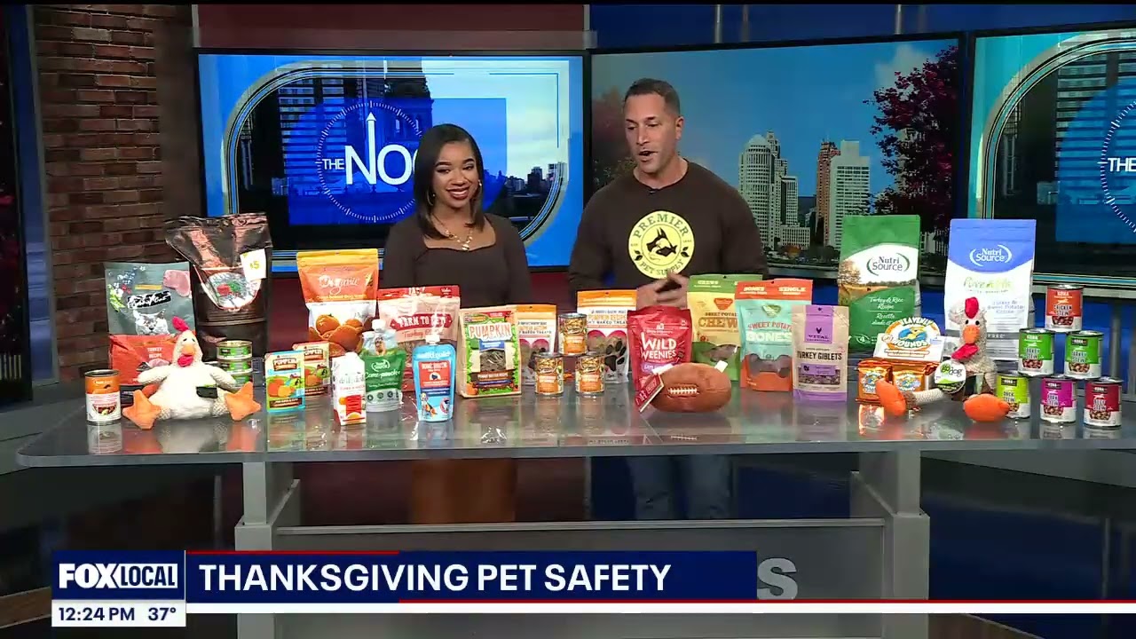 Thanksgiving Pet Safety, Pawfect Model Search & 25 Days of Giveaways | Premier Pet Supply