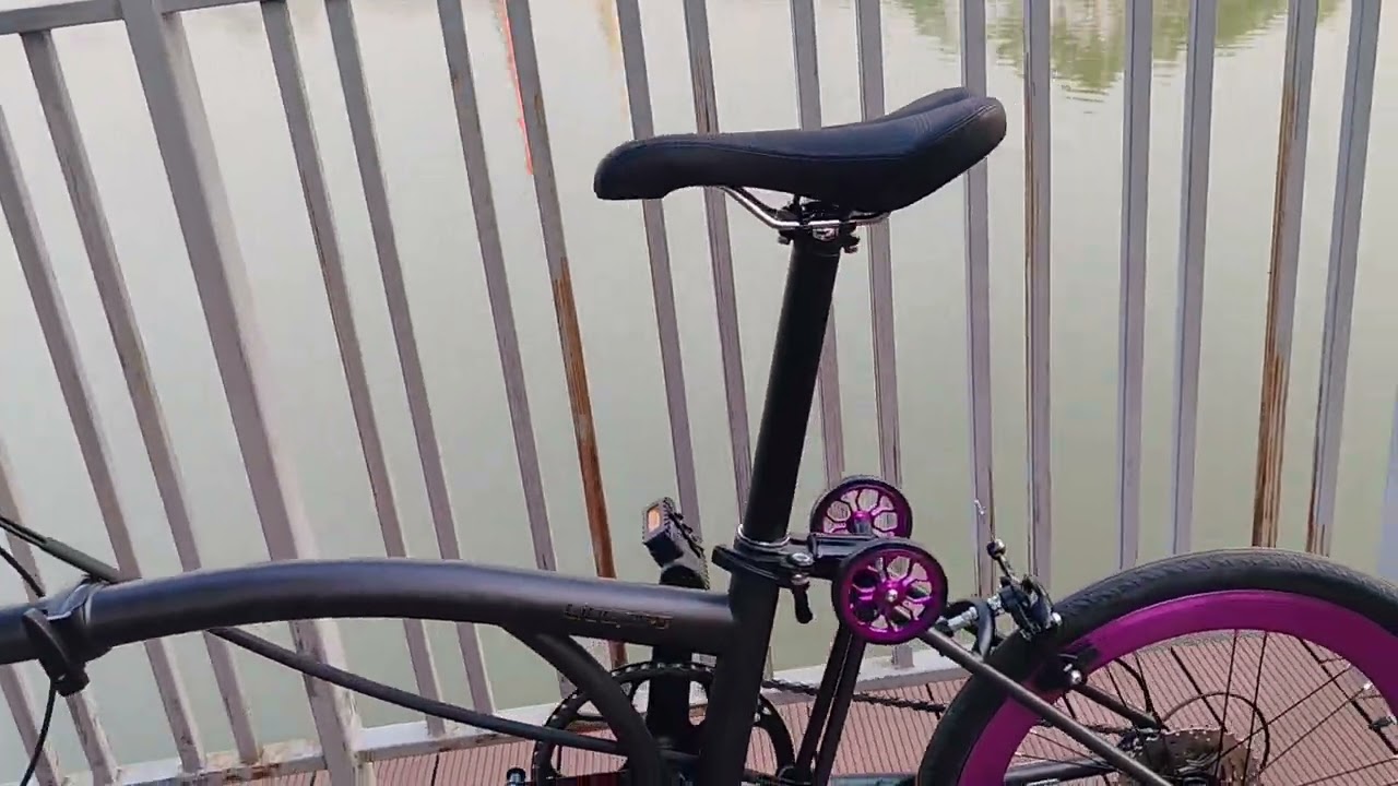 Litepro R9 20inch trifold bikes purple #bicycle