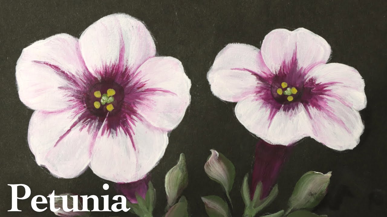 How to paint petunia flower | acrylic flower painting
