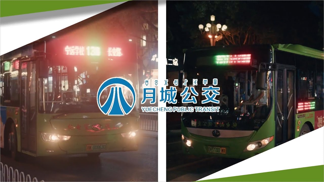 长安菜市EIGA ZONE (改訂版)