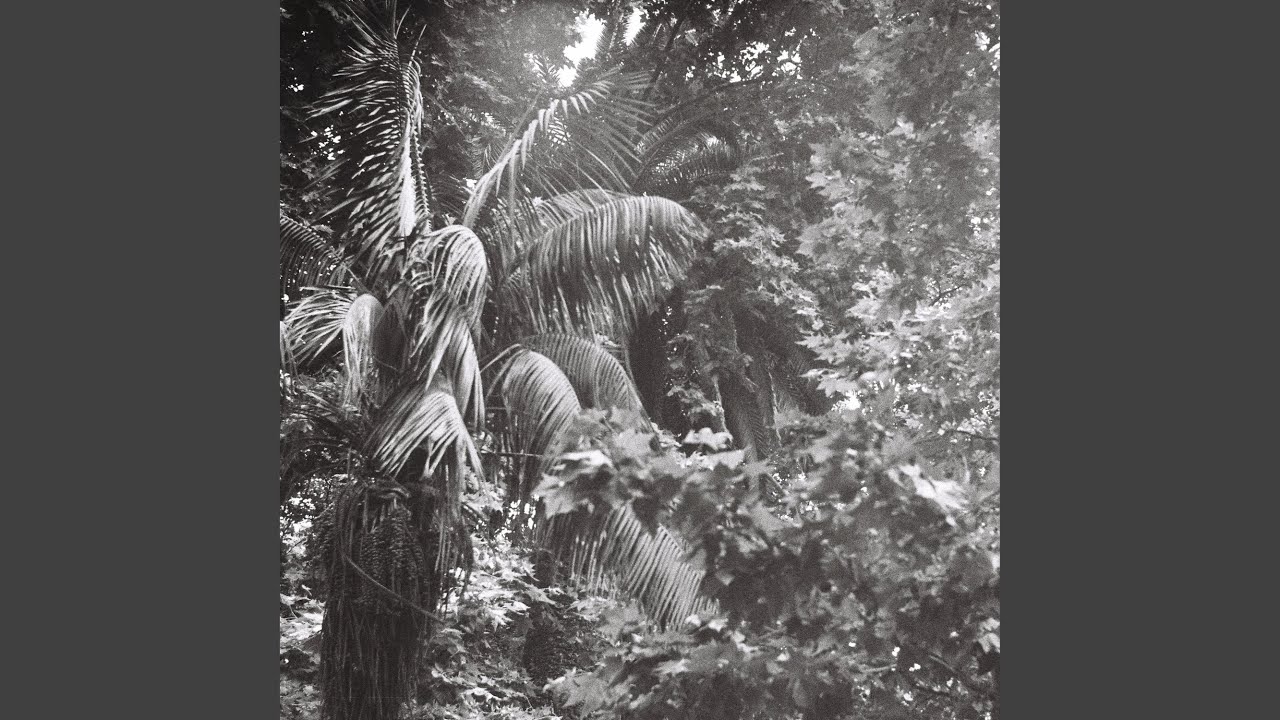 Este Jardim Tá Uma Selva (feat. Johnny)